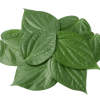 Betel Leaves / Beetle Leaves 50g (App 10pcs)