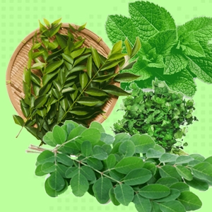 Srilankan Leaves